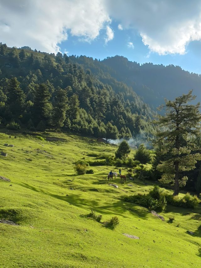 pexels-ishahidsultan-6055037
